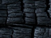 Carbón activado de uso veterinario