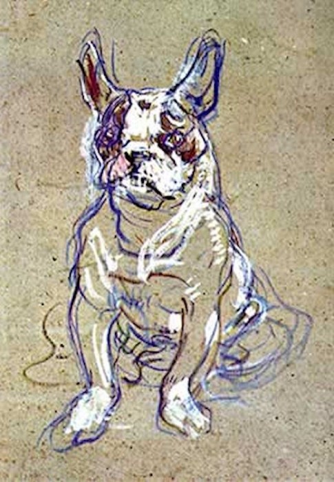 bulldog frances tolouse lautrec