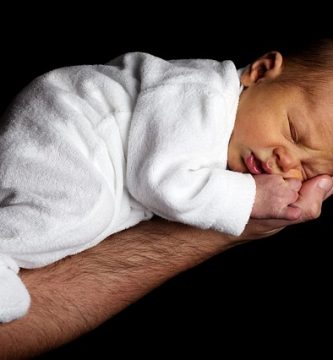 Video divertido perros y gatos se encuentran por primera vez con bebes.