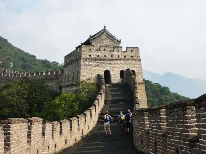 la-carne-de-perro-se-come