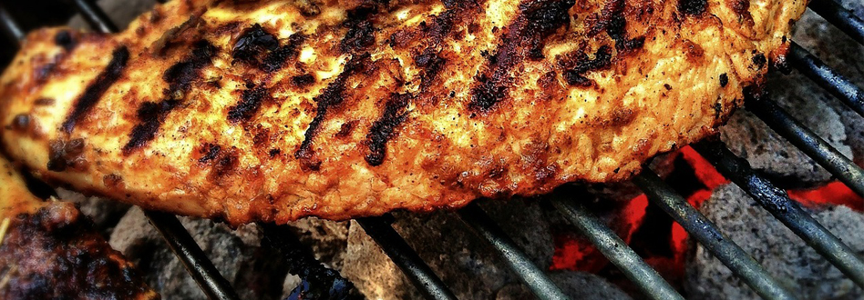 La carne de perro se come