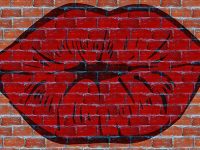 el beso del gato los gatos parpadean para comunicarse