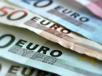 El perro mas caro del mundo 2014