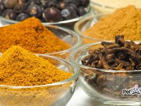 suplementos naturales para gatos