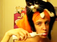 gato sube a cabeza de dueña video