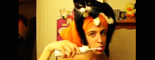 gato sube a cabeza de dueña video