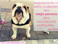 frases celebres sobre perros, citas celebres perros