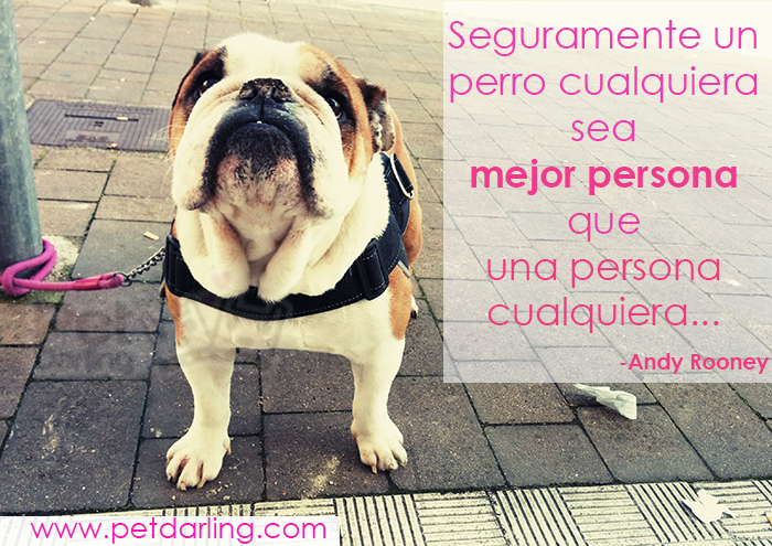 frases celebres sobre perros, citas celebres perros