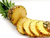 mi perro se come sus heces