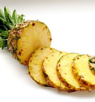 mi perro se come sus heces