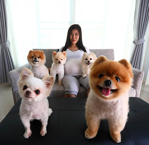 como saber si mi perro me quiere