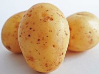 gatos pueden comer papas