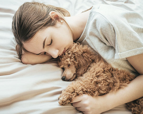 como saber si mi perro me quiere