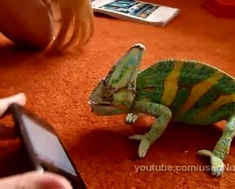 video camaleon iphone