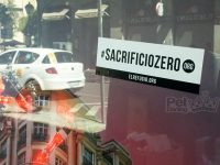 firmas para sacrificio cero de perros en madrid