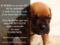 frases celebres sobre perros martin lutero