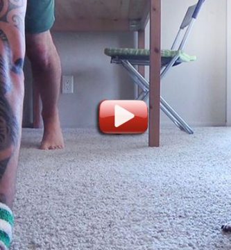 video pacho chihuahua yoga