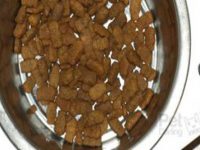cuanto debe comer un perro