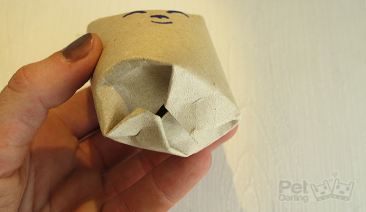 juguete para gatos DIY