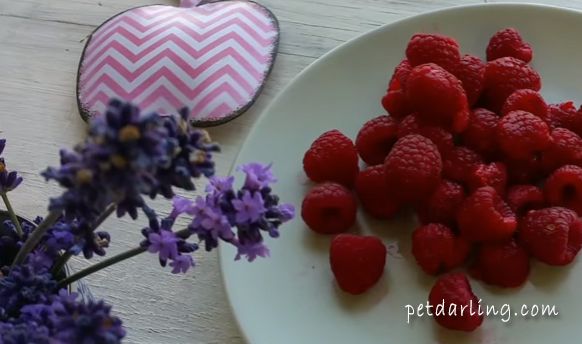 frutas y verduras para perros