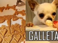 galletas para perros