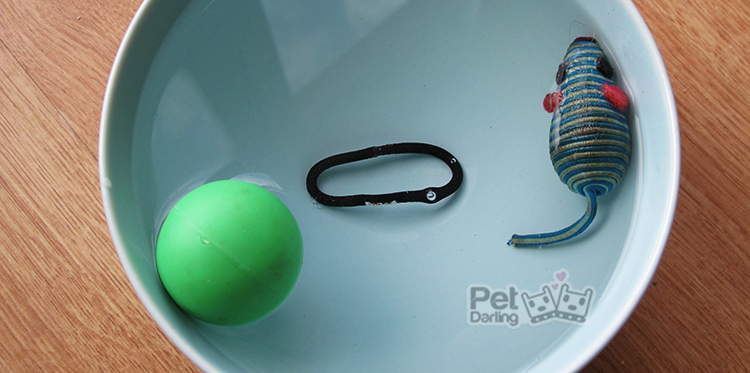 porque mi gato mete cosas en agua jugetes