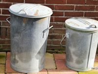 como evitar perro hurga la basura rebusca