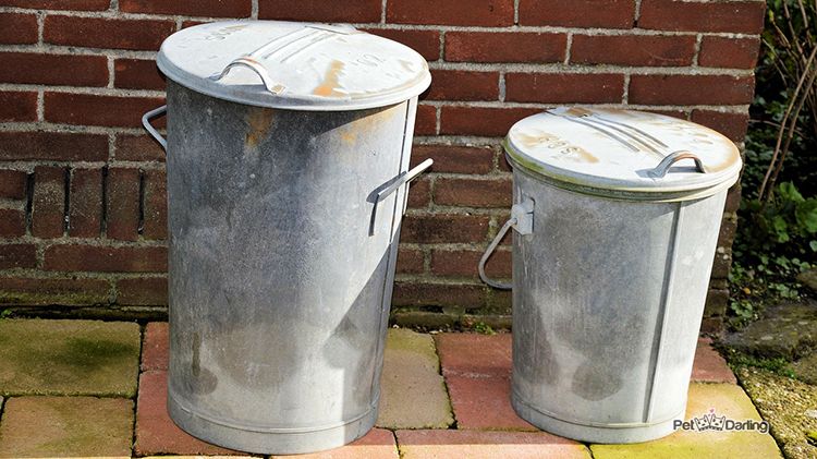 como evitar perro hurga la basura rebusca