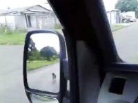video perro persigue una ambulancia dueño al hospital