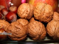 perros comer frutos secos
