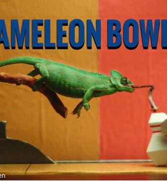 video camaleon bolos bowling