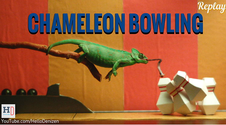 video camaleon bolos bowling