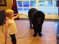 video niña enseña bailar hula hoop a su perro