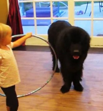 video niña enseña bailar hula hoop a su perro