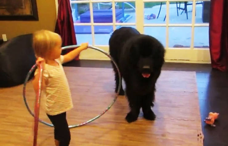 video niña enseña bailar hula hoop a su perro