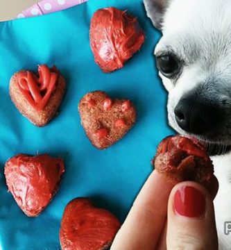 hacer chuches para perros recetas