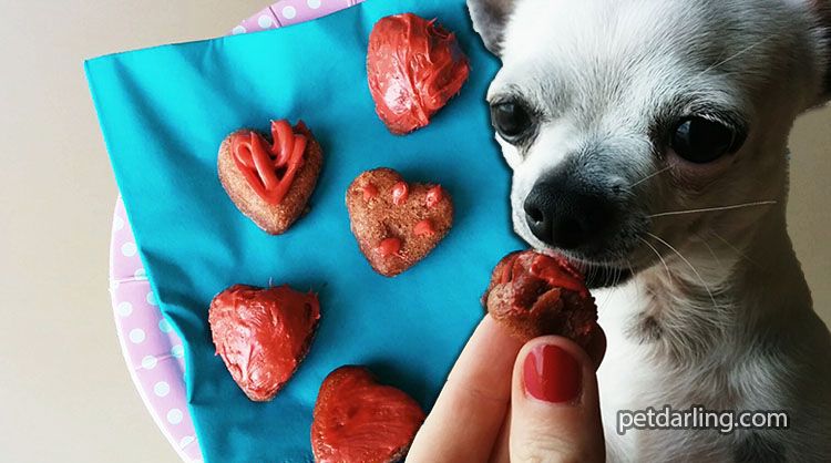 hacer chuches para perros recetas