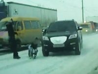 doberman muy afortunado