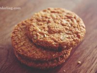 perros comer galletas para humanos