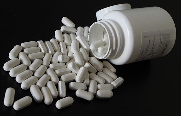 probiotico para perros