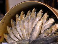 recetas para perros con sardinas