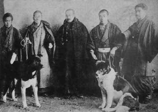 origen akita inu