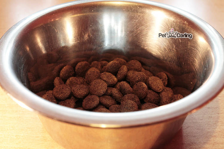 mezclar pienso para perros con dieta barf