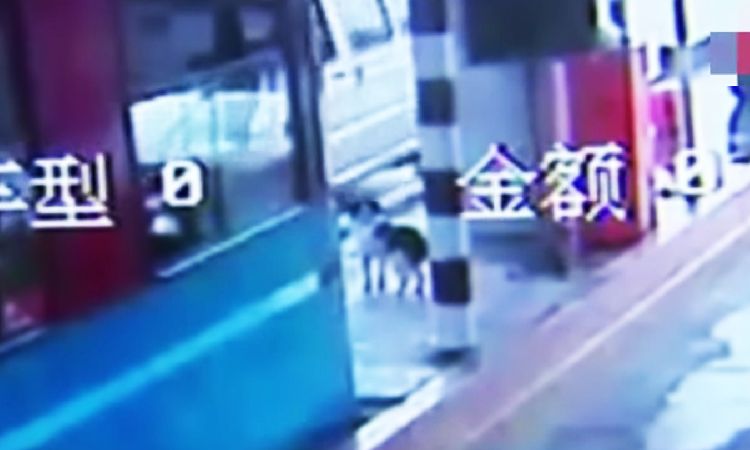 no pierde la esperanza