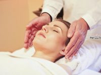 reiki para perros chakras