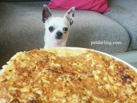 comida casera para perros tortilla receta