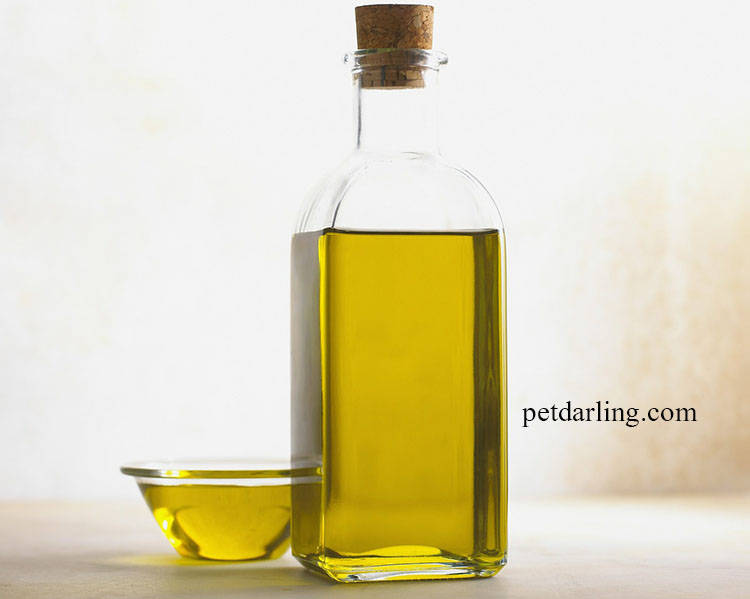 aceite de oliva para perros