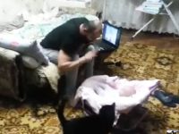 gato protege niño video