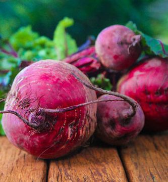 los perros pueden comer remolacha