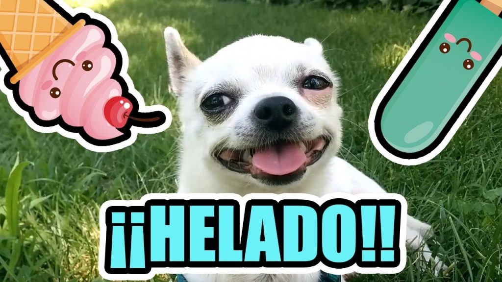 hacer helados para perros